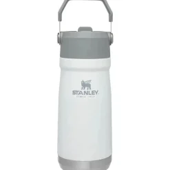 Stanley Water Bottle|Dishes, Utensils & Food Containers*- 17Oz IceFlow Stainless Steel Bottle with Straw, Polar