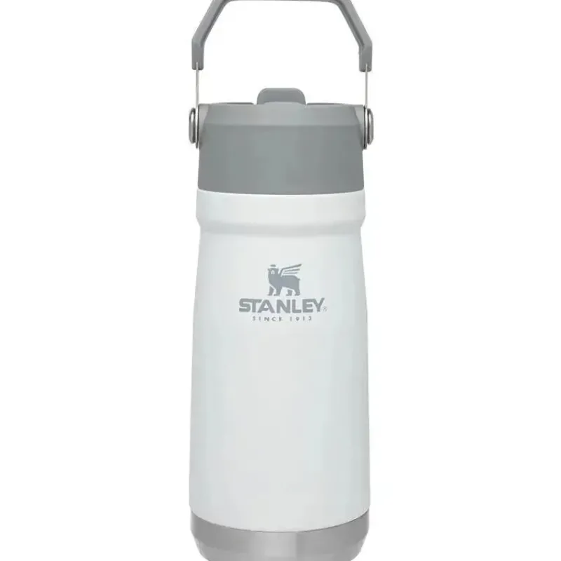 Stanley Water Bottle|Dishes, Utensils & Food Containers*- 17Oz IceFlow Stainless Steel Bottle with Straw, Polar