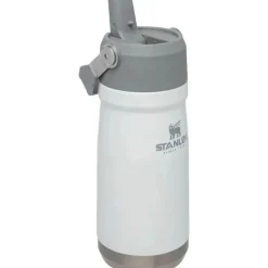 Stanley Water Bottle|Dishes, Utensils & Food Containers*- 17Oz IceFlow Stainless Steel Bottle with Straw, Polar