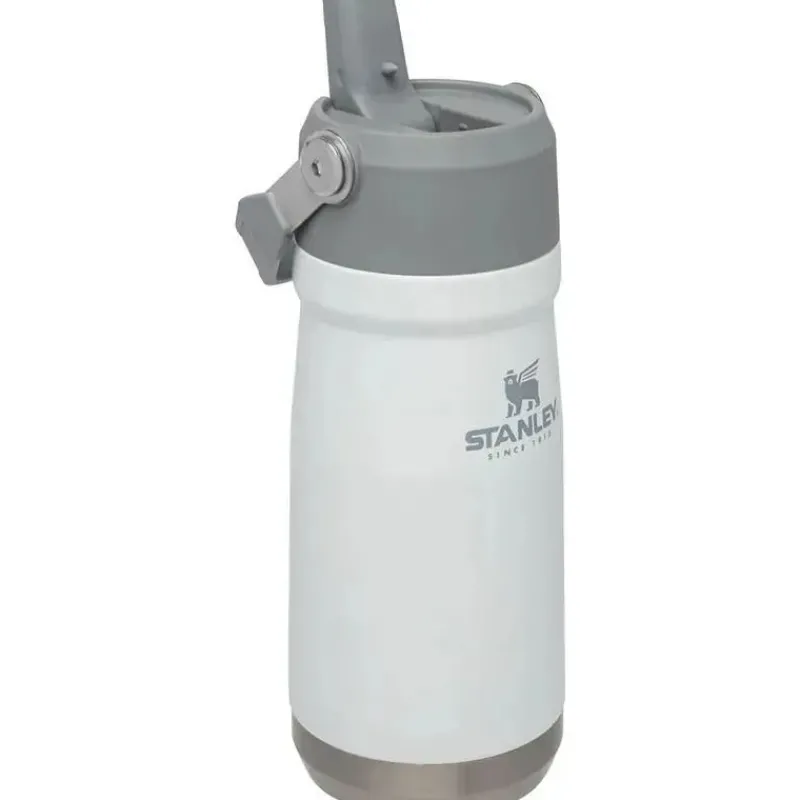 Stanley Water Bottle|Dishes, Utensils & Food Containers*- 17Oz IceFlow Stainless Steel Bottle with Straw, Polar