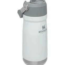 Stanley Water Bottle|Dishes, Utensils & Food Containers*- 17Oz IceFlow Stainless Steel Bottle with Straw, Polar