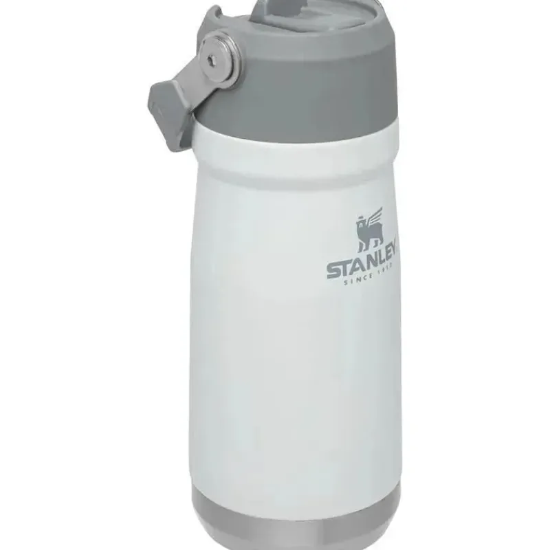 Stanley Water Bottle|Dishes, Utensils & Food Containers*- 17Oz IceFlow Stainless Steel Bottle with Straw, Polar