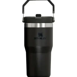 Stanley Water Bottle|Dishes, Utensils & Food Containers*- 20Oz IceFlow Stainless Steel Tumbler with Straw, Black