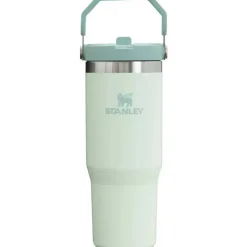 Stanley Water Bottle|Dishes, Utensils & Food Containers*- 30Oz IceFlow Stainless Steel Tumbler with Straw, Mist