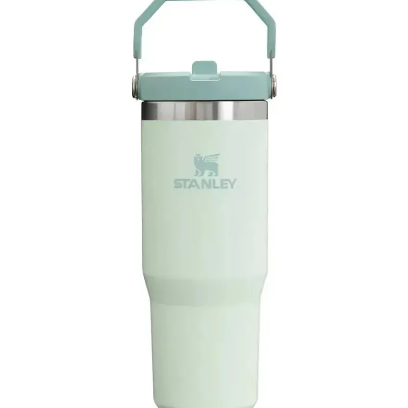 Stanley Water Bottle|Dishes, Utensils & Food Containers*- 30Oz IceFlow Stainless Steel Tumbler with Straw, Mist