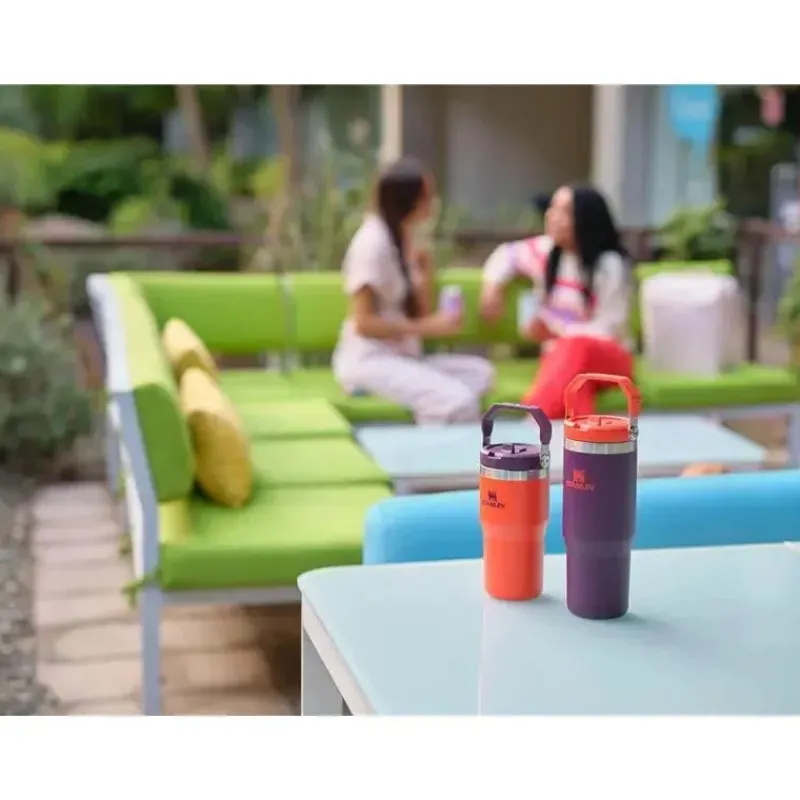 Stanley Water Bottle|Dishes, Utensils & Food Containers*- 30Oz IceFlow Stainless Steel Tumbler with Straw, Mist