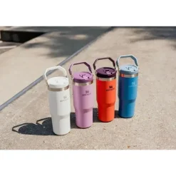 Stanley Water Bottle|Dishes, Utensils & Food Containers*- 30Oz IceFlow Stainless Steel Tumbler with Straw, Mist