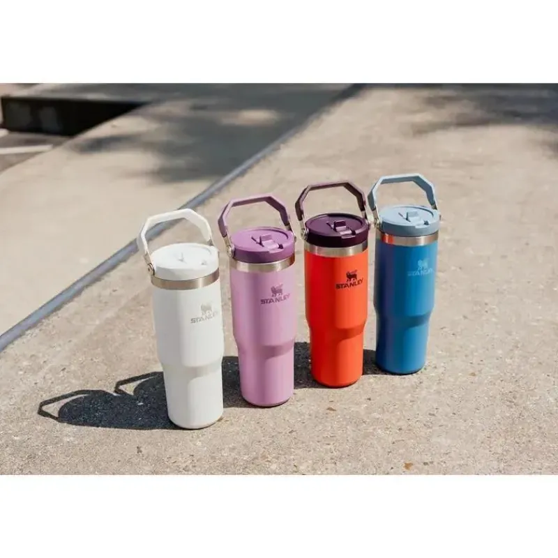 Stanley Water Bottle|Dishes, Utensils & Food Containers*- 30Oz IceFlow Stainless Steel Tumbler with Straw, Mist