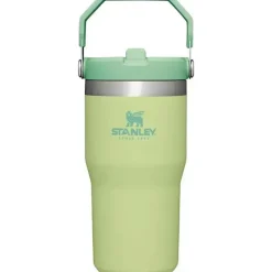 Stanley Gift For Dad|Gift For Mom*- 20Oz IceFlow Stainless Steel Tumbler with Straw, Citron