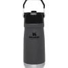 Stanley Gift For Dad|Water Bottle*- 17Oz IceFlow Stainless Steel Bottle with Straw, Charcoal