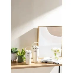 Stanley Water Bottle|Dishes, Utensils & Food Containers*- 30Oz IceFlow Stainless Steel Tumbler with Straw, Cream