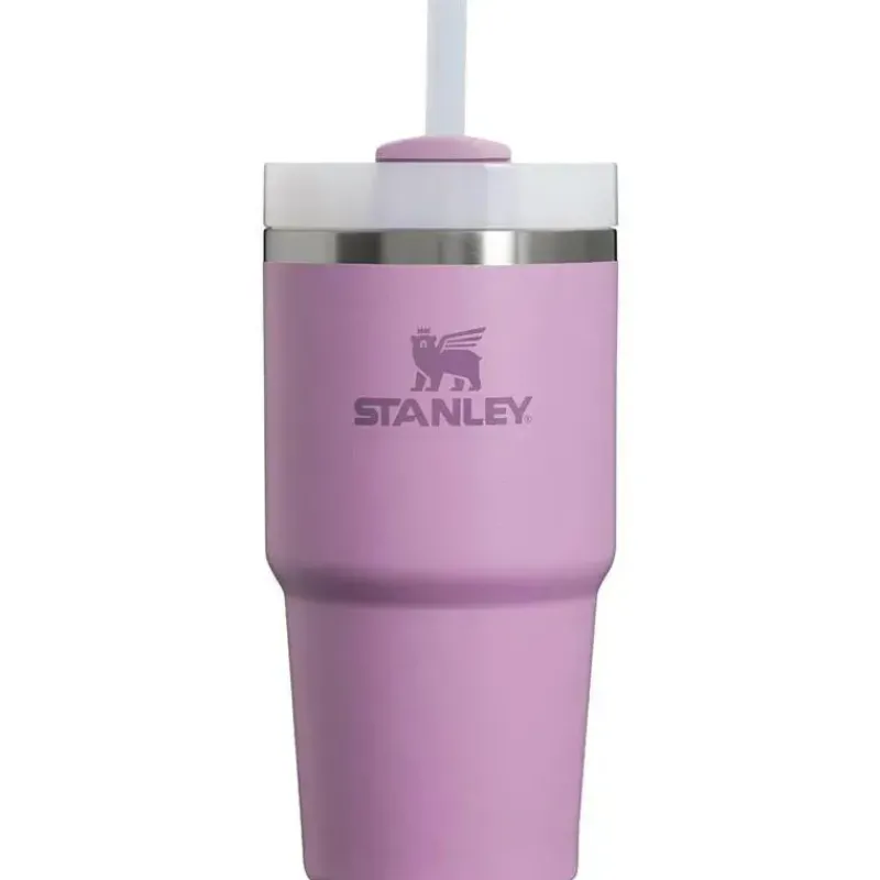 Stanley Gift For Mom|Water Bottle*- 20Oz Quencher H2.0 FlowState Stainless Steel Vacuum Insulated Tumbler, Lilac