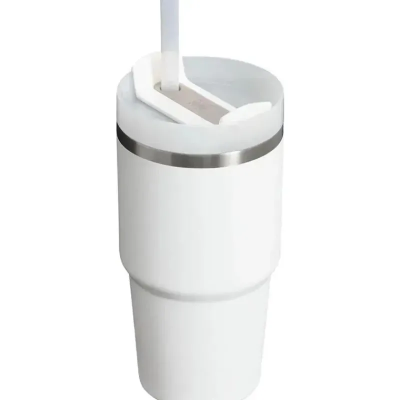 Stanley Gift For Dad|Gift For Mom*- 20Oz Quencher H2.0 FlowState Stainless Steel Vacuum Insulated Tumbler, Frost