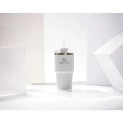 Stanley Gift For Dad|Gift For Mom*- 20Oz Quencher H2.0 FlowState Stainless Steel Vacuum Insulated Tumbler, Frost