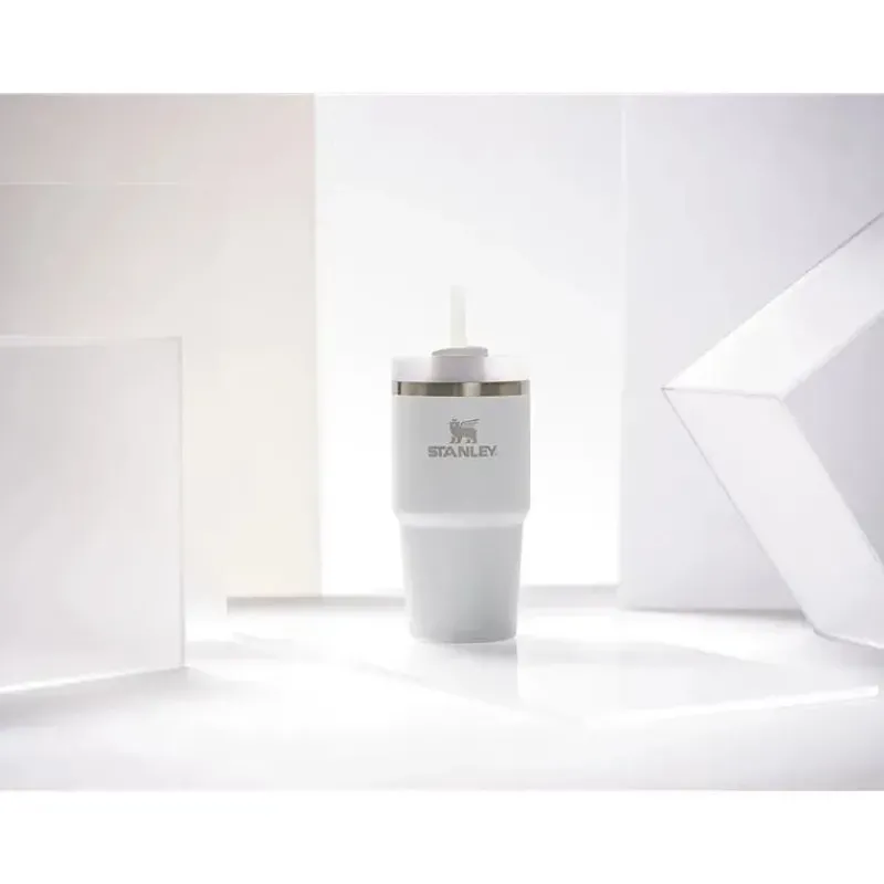 Stanley Gift For Dad|Gift For Mom*- 20Oz Quencher H2.0 FlowState Stainless Steel Vacuum Insulated Tumbler, Frost