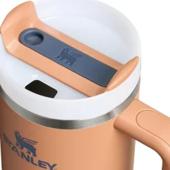 Stanley Cool Baby Products|Water Bottle*- Quencher H2.0 Tumbler with Handle and Straw 30 Oz