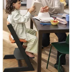 Stokke High Chair*- Tripp Trapp® High Chair², Cushion And Tray, Glacier Green