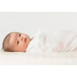 Swaddle Designs Swaddles & Wearable Blankets*- 3Pk Muslin Swaddle Blankets, Butterflies & Posies