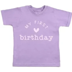 Sweet Wink Birthday Party*- My First Birthday Short Sleeve T-Shirt