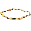 The Amber Monkey Amber Necklaces*- Polished Baltic Amber 12-13 inch Necklace, Multi Bean POP