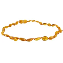 The Amber Monkey Amber Necklaces*- Polished Baltic Amber 12-13 inch Necklace, Honey Bean POP
