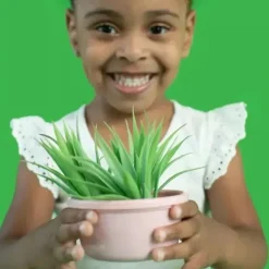 The First Years Food Jars & Snack Cups|Dishes, Utensils & Food Containers*- GreenGrown Reusable Toddler Snack Bowls with Lids - Pink - 4pk/8oz