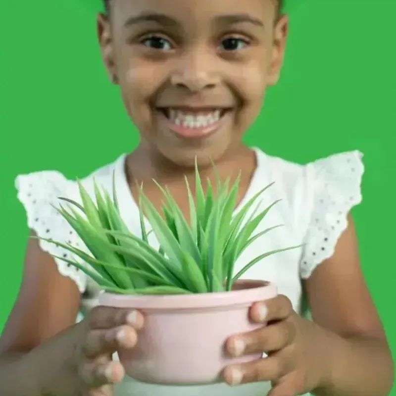 The First Years Food Jars & Snack Cups|Dishes, Utensils & Food Containers*- GreenGrown Reusable Toddler Snack Bowls with Lids - Pink - 4pk/8oz