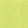 The Gift Wrap Company Gift Wrap*Lime Tissue, 12-Pack