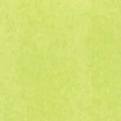 The Gift Wrap Company Gift Wrap*Lime Tissue, 12-Pack