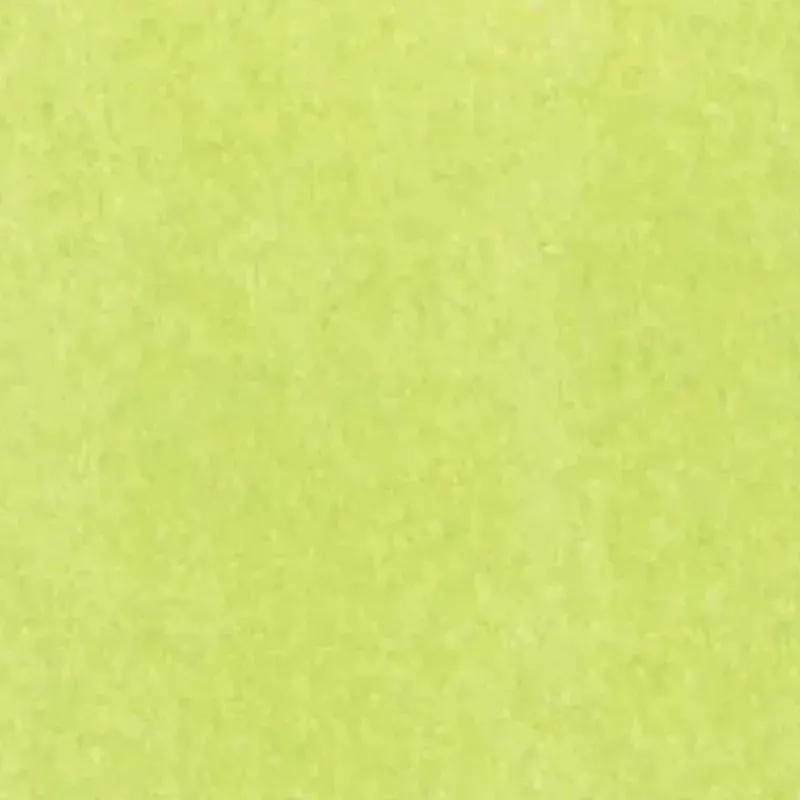 The Gift Wrap Company Gift Wrap*Lime Tissue, 12-Pack