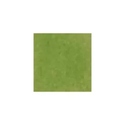 The Gift Wrap Company Gift Wrap*Tissue Paper, Moss Green 8-Pack