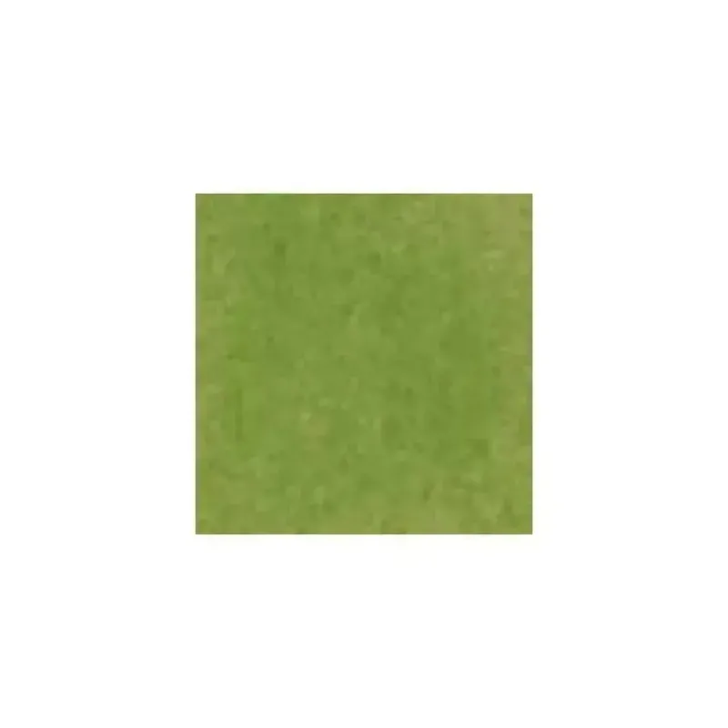 The Gift Wrap Company Gift Wrap*Tissue Paper, Moss Green 8-Pack