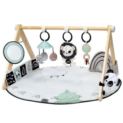 Tiny Love Activity Centers & Jumpers*- Black & White Gymini