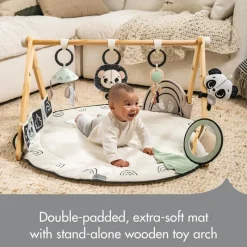 Tiny Love Activity Centers & Jumpers*- Black & White Gymini