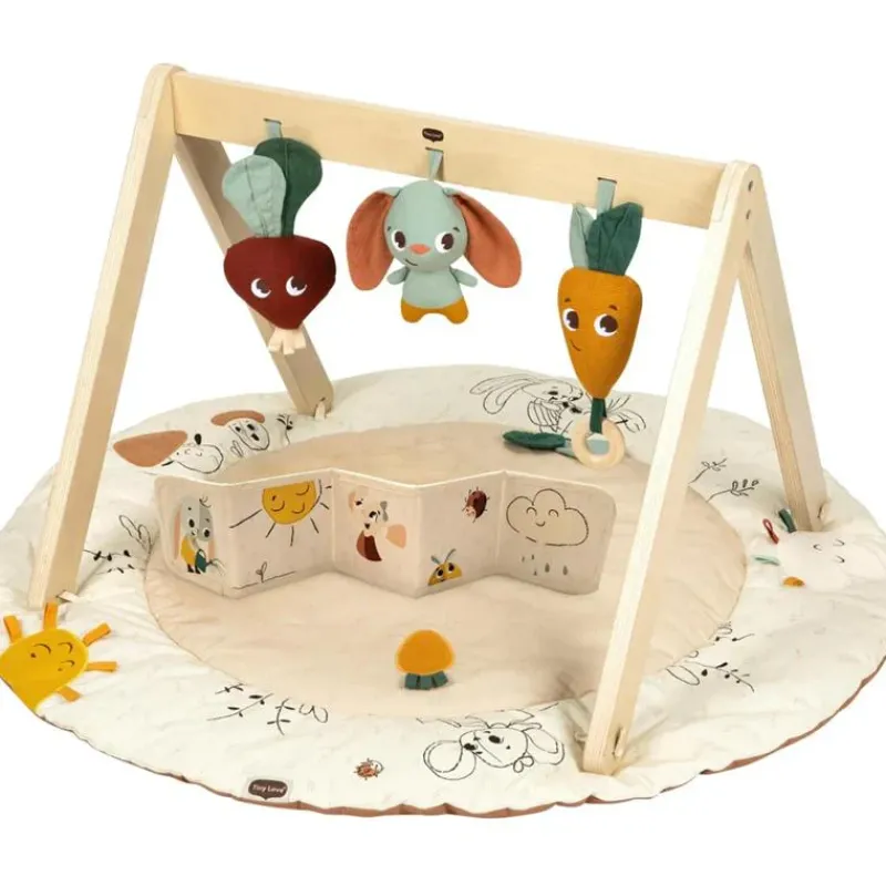 Tiny Love Activity Centers & Jumpers*- Gymini W/Book, Garden of Adventure Collection