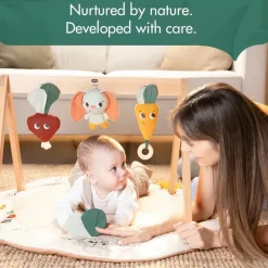 Tiny Love Activity Centers & Jumpers*- Gymini W/Book, Garden of Adventure Collection