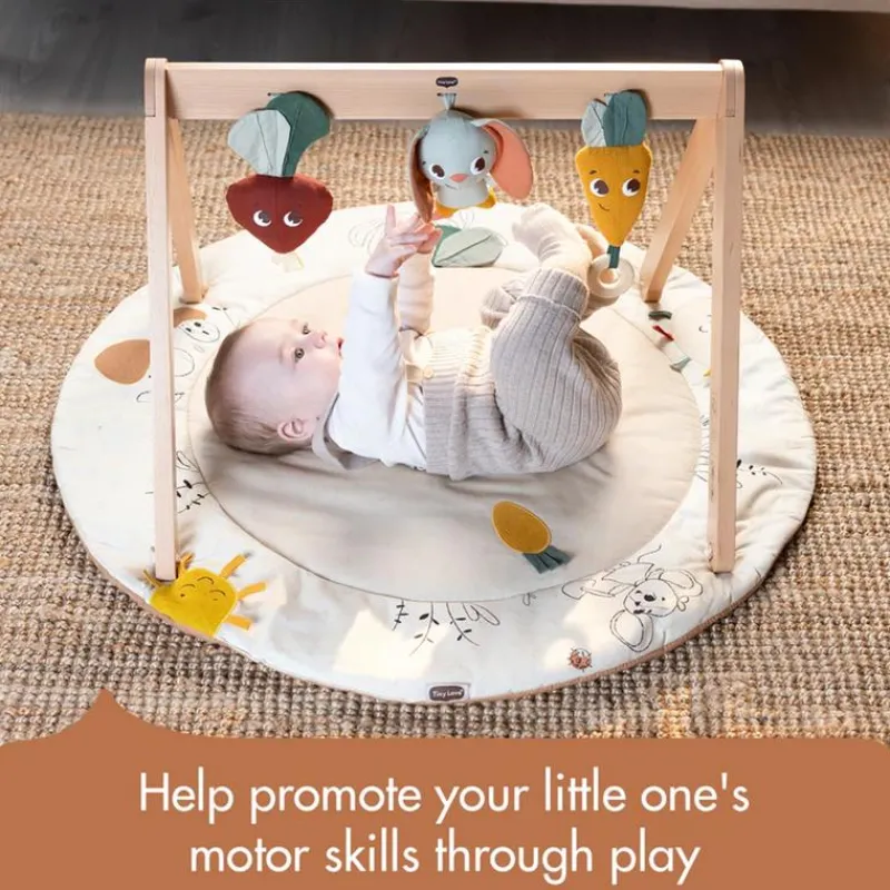 Tiny Love Activity Centers & Jumpers*- Gymini W/Book, Garden of Adventure Collection
