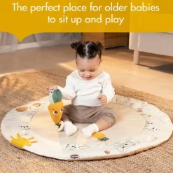 Tiny Love Activity Centers & Jumpers*- Gymini W/Book, Garden of Adventure Collection