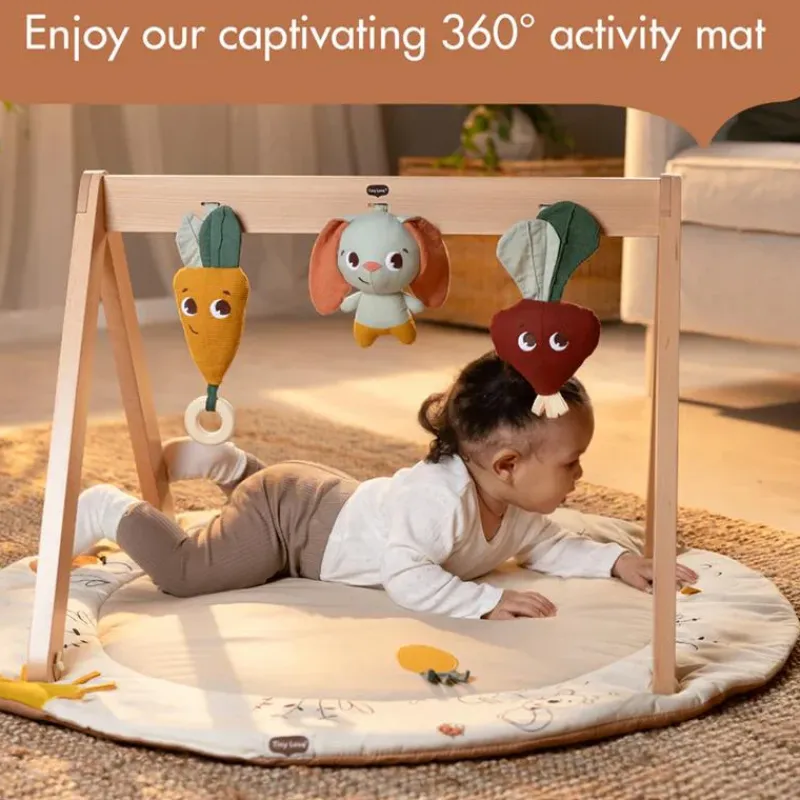 Tiny Love Activity Centers & Jumpers*- Gymini W/Book, Garden of Adventure Collection