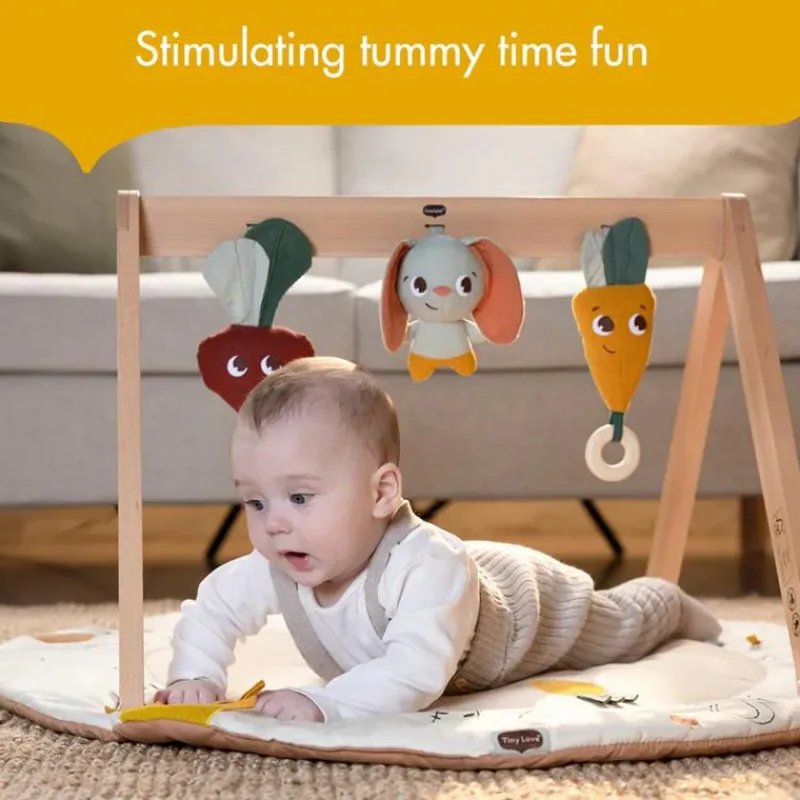 Tiny Love Activity Centers & Jumpers*- Gymini W/Book, Garden of Adventure Collection
