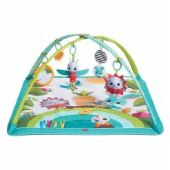 Tiny Love Activity Centers & Jumpers|Toys For 0-12 Months*Meadow Day Sunny Day Gymini