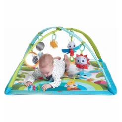 Tiny Love Activity Centers & Jumpers|Toys For 0-12 Months*Meadow Day Sunny Day Gymini