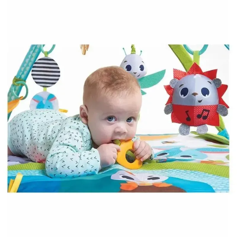 Tiny Love Activity Centers & Jumpers|Toys For 0-12 Months*Meadow Day Sunny Day Gymini