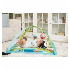 Tiny Love Activity Centers & Jumpers|Toys For 0-12 Months*Meadow Day Sunny Day Gymini