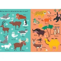 Workman Publishing Books, Music & Dvds*My Book Of Animal Opposites