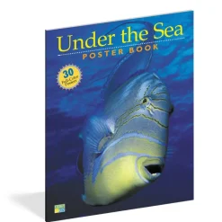 Workman Publishing Books, Music & Dvds*Pbs Kids Under The Sea Book